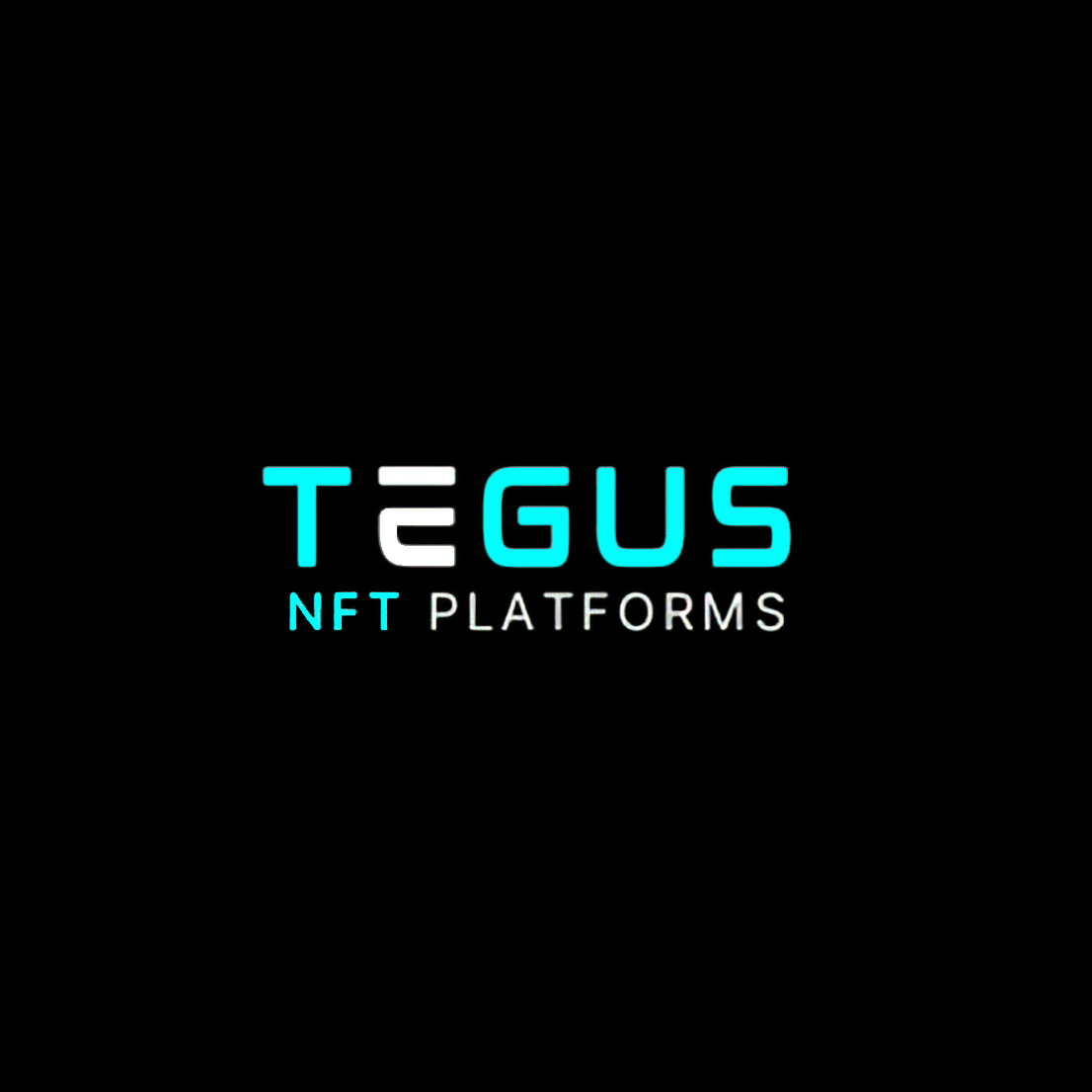 Tegus NFT Platforms